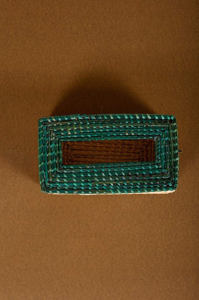 Green Tissue Box