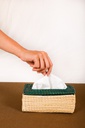 Green Tissue Box